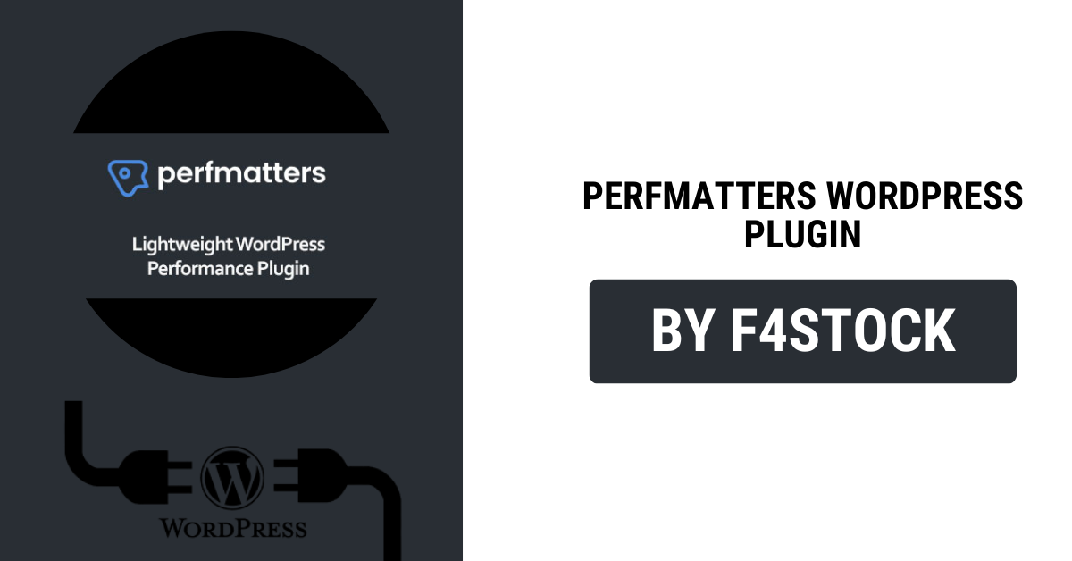 Perfmatters performance plugin optimizing WordPress site speed and SEO