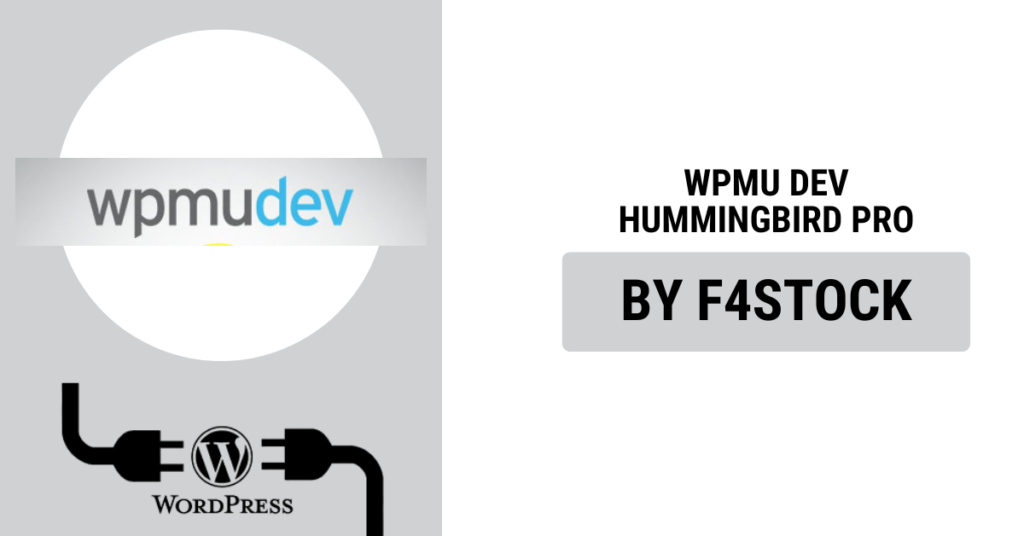 WPMU DEV Hummingbird Pro Plugin Interface for WordPress Site Optimization