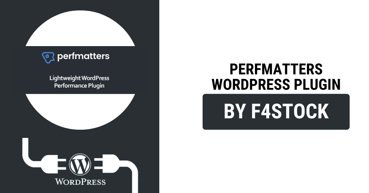 Perfmatters WordPress Plugin for website speed optimization and performance improvement